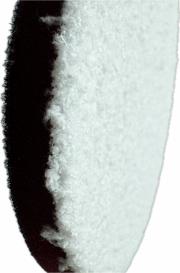 Alt_4